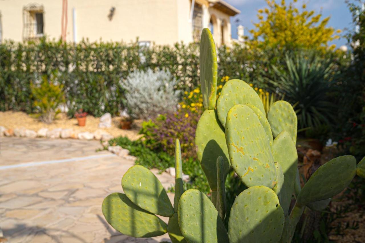 La Mandarina Apartment Orba Exterior photo